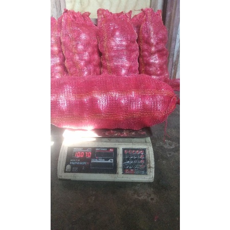 bawang merah india karungan 10kg