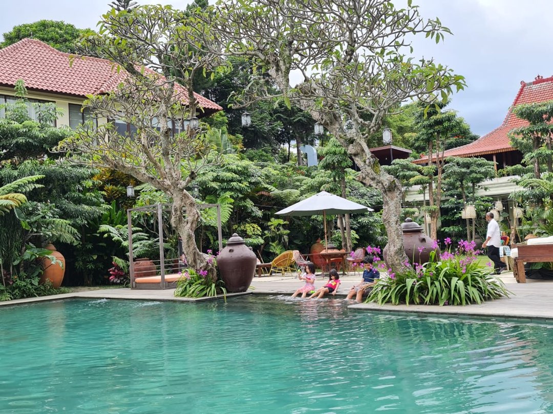 Baking Soda Ken Gallery