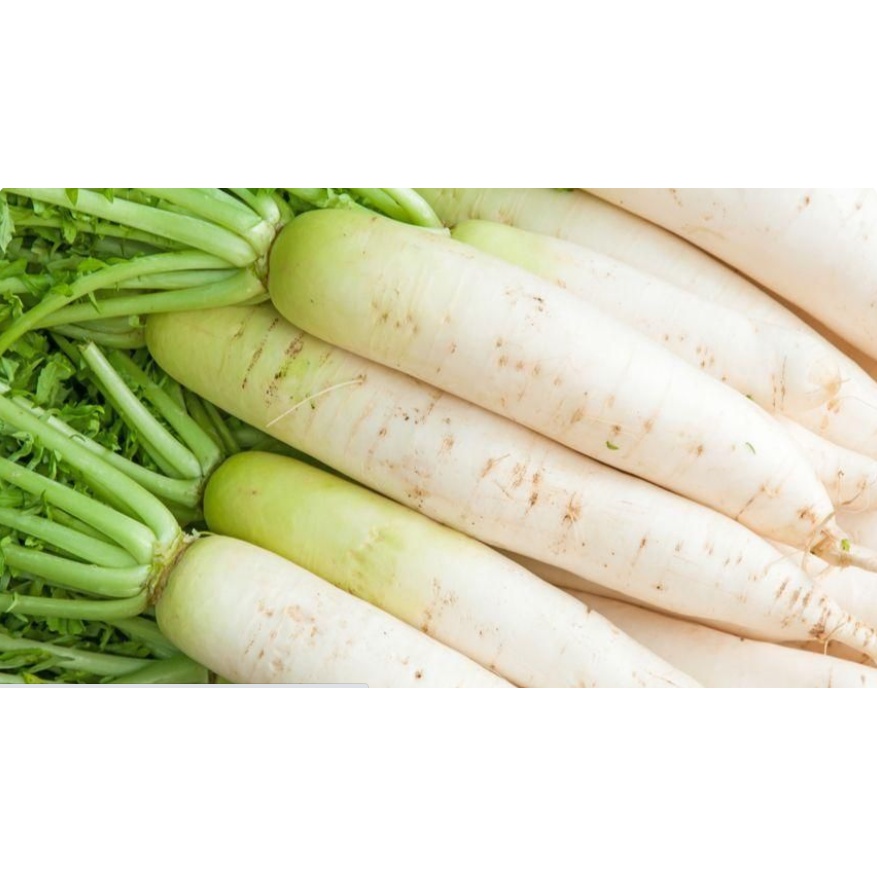 

Sayur Lobak - Radish