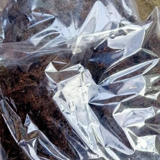 

9NN Akar kadaka kering dan bersih 1kg siap di akan ☺YT8