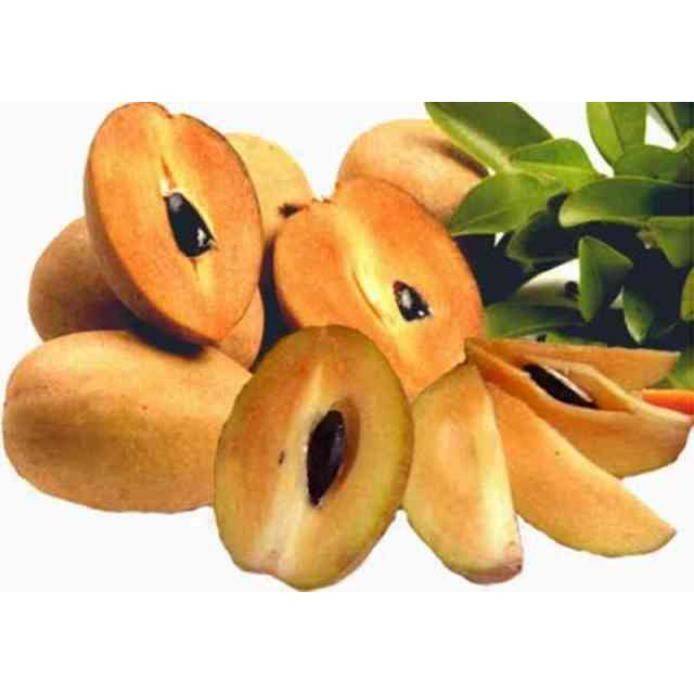 

PASAR SEGAR - BUAH SAWO 500GR