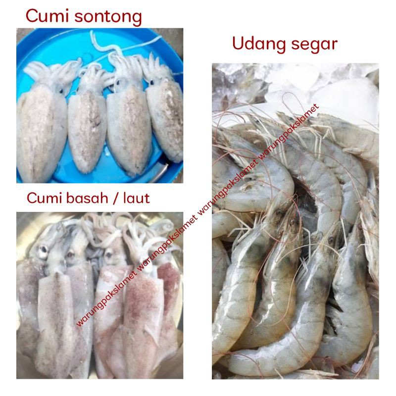 

ikan segar / Cumi sontong / Cumi laut basah / udang segar