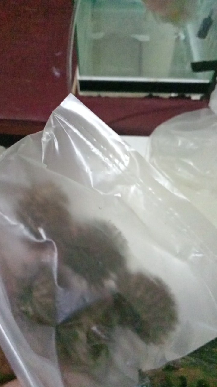 Hiasan Buket Bunga Dekorasi Rustik Dried Flower Marigold Pompom Kering Sikas Palem Gandum Lagurus