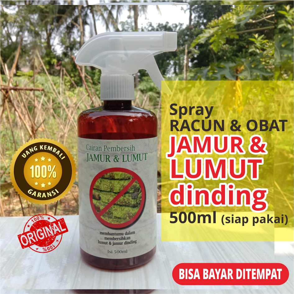 [bogorfarm] PEMBERSIH LUMUT DINDING &amp; JAMUR DINDING 500ml