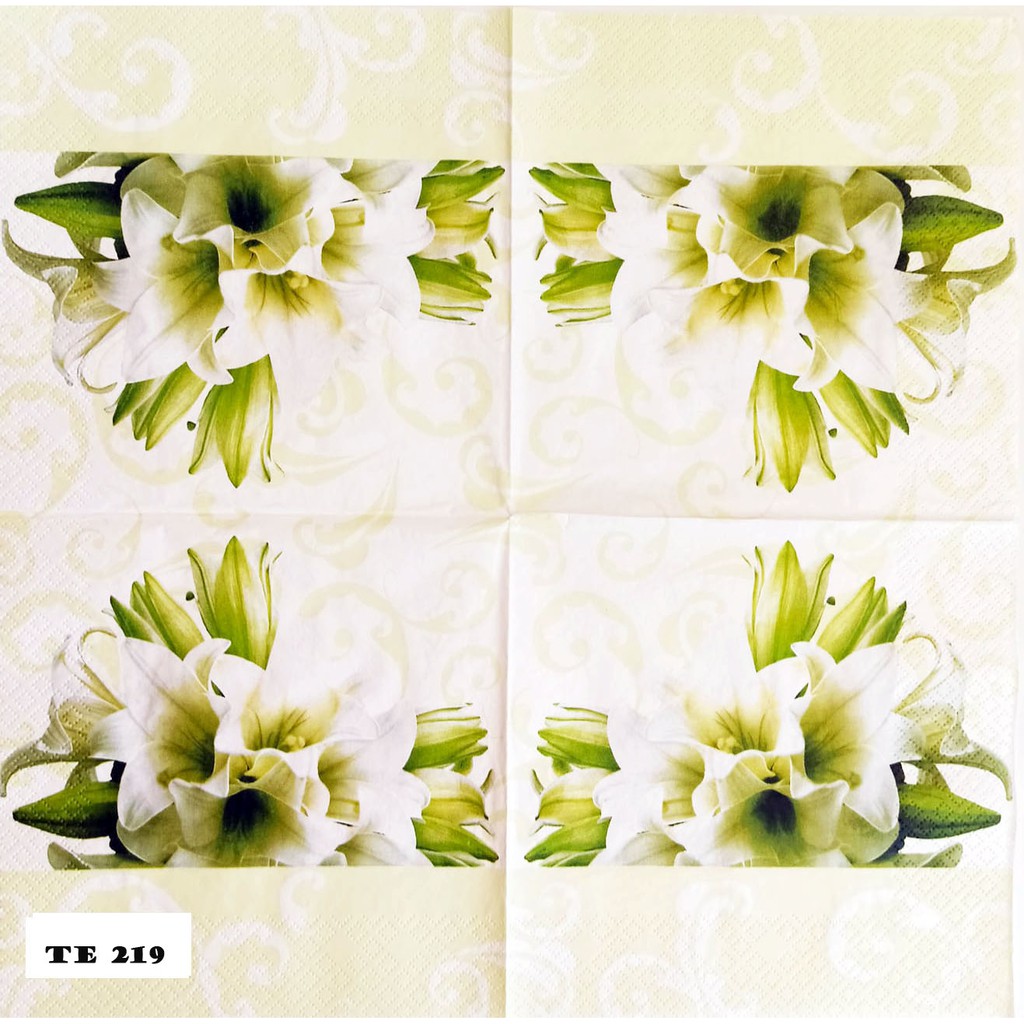 TISU NAPKIN  DECOUPAGE EROPAH 33X33 CM TE 219  TTS