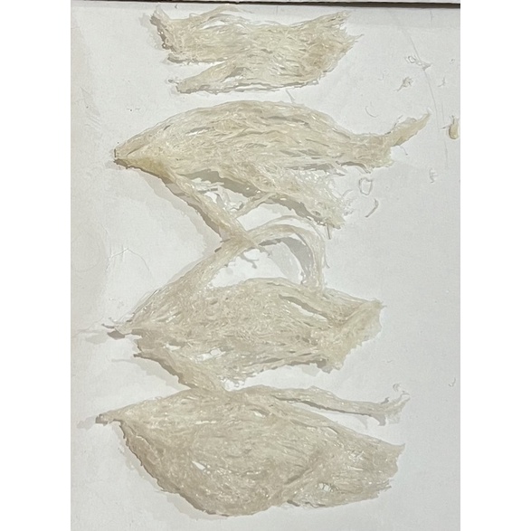 

sarang burung walet patahan 10gr