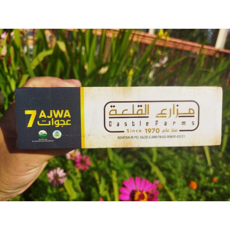 

Kurma Ajwa Castle Farm isi 7 butir