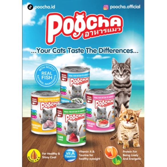 Poocha 400gr makanan kaleng kucing