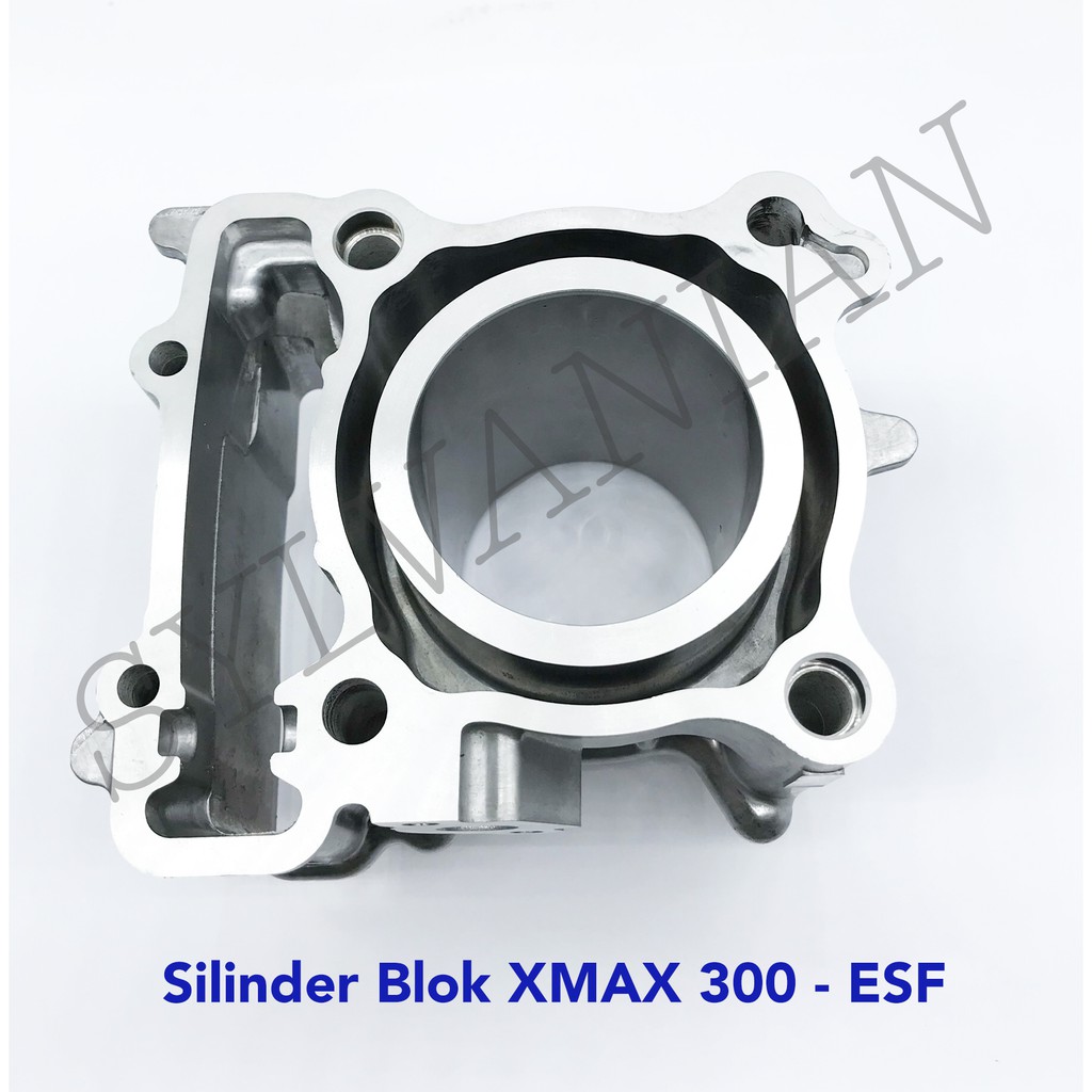 CYLINDER BLOCK / BLOK SEHER XMAX 300 ESF