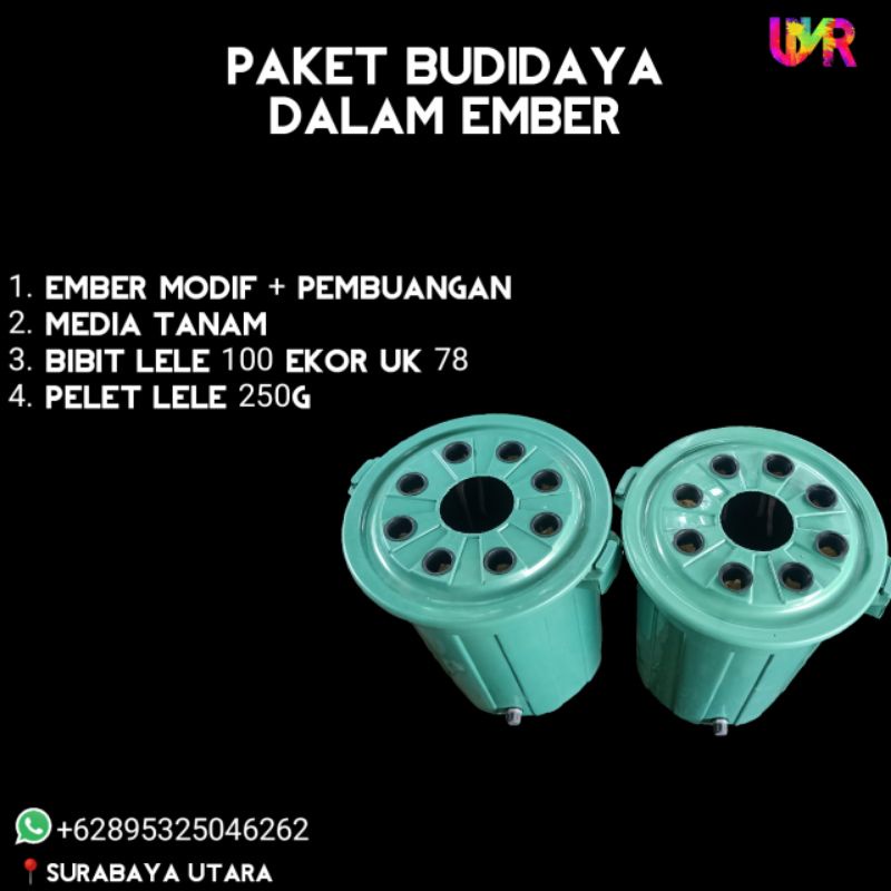 paket budikdamber