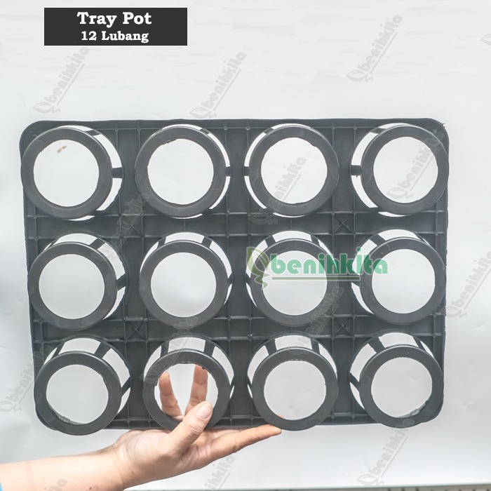 Tray Semai/Pot Tray Bibit Anggrek 12 Lubang