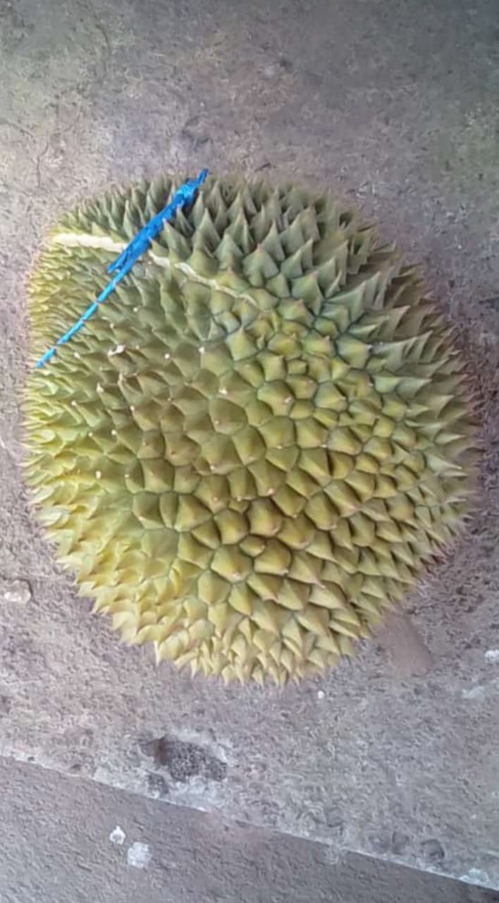 Teflon Maxim Valentino 22 Cm