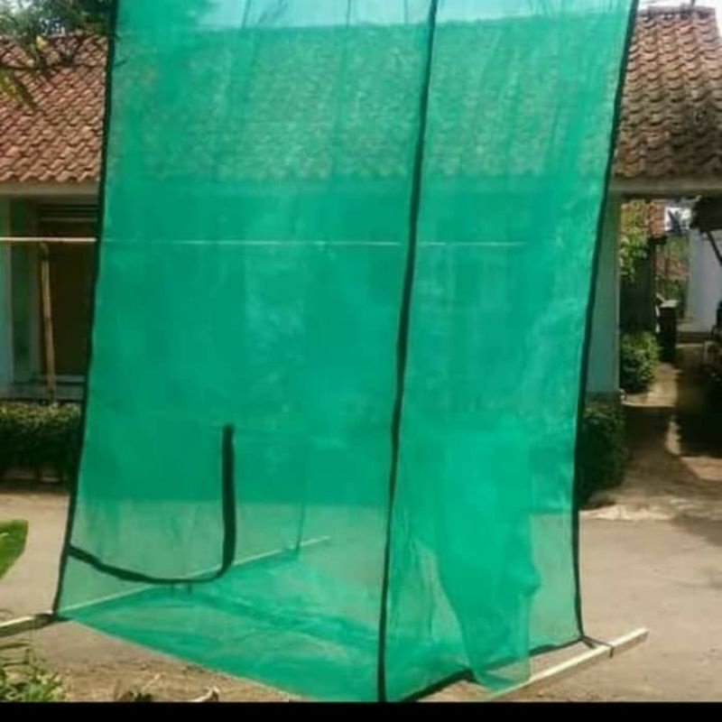 JARING LALAT BSF / KANDANG BSF