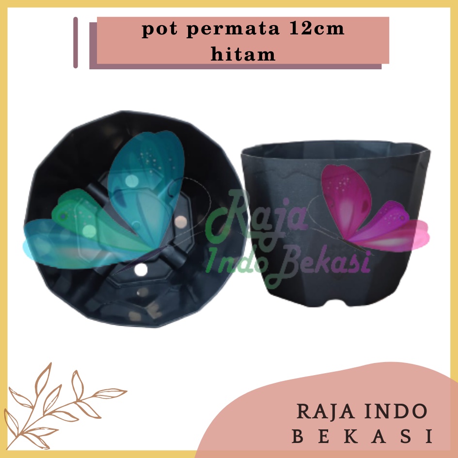 Pot Permata 12 Hitam DA 10,5cm By Garden Of Love Pot Plastik Kaktus Murah Uk Mirip Pot Tawon 10cm