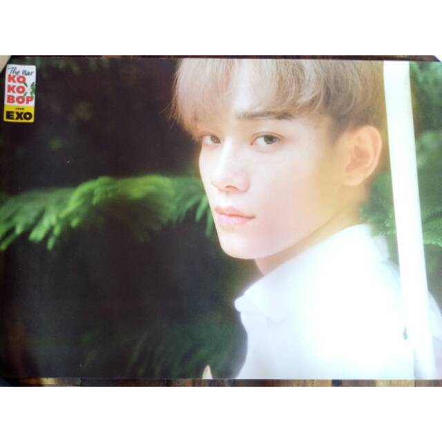 EXO CHEN POSTER OFFICIAL THE WAR ALBUM