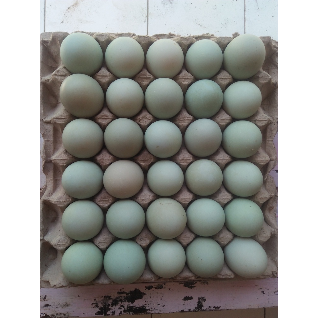 

Telur / Telor bebek mentah kualitas super isi 6