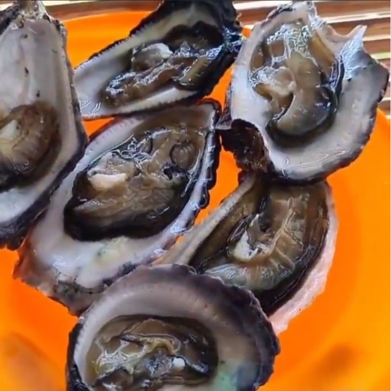 

Kerang Oyster / Kerang Tiram