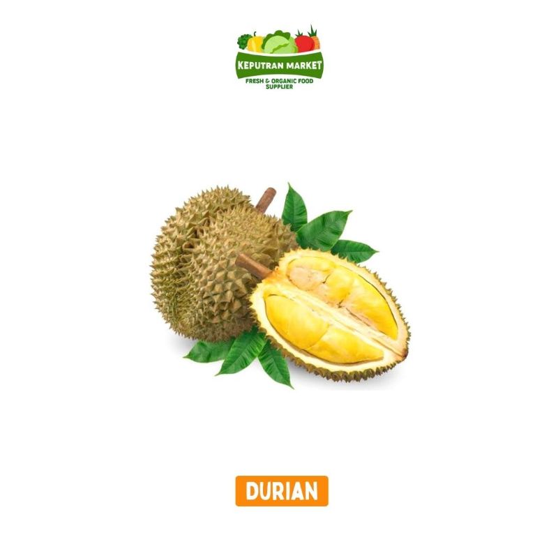 

Durian Per Pcs / Buah Segar