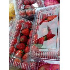 

BSM | TERMURAH Strawberry Segar per pack / Buah Stroberi / Strawberry Segar
