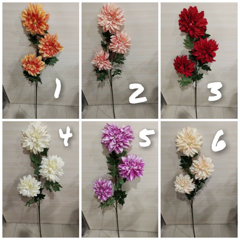 bunga matahari jumbo