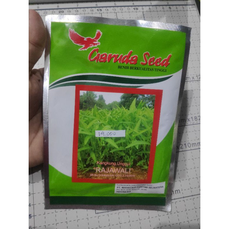 Benih Kangkung Rajawali Garuda Seed 50gr Daun Sempit Original Pack