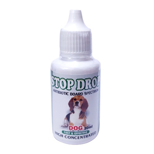 Obat Antibiotic Untuk Anjing STOP DROP