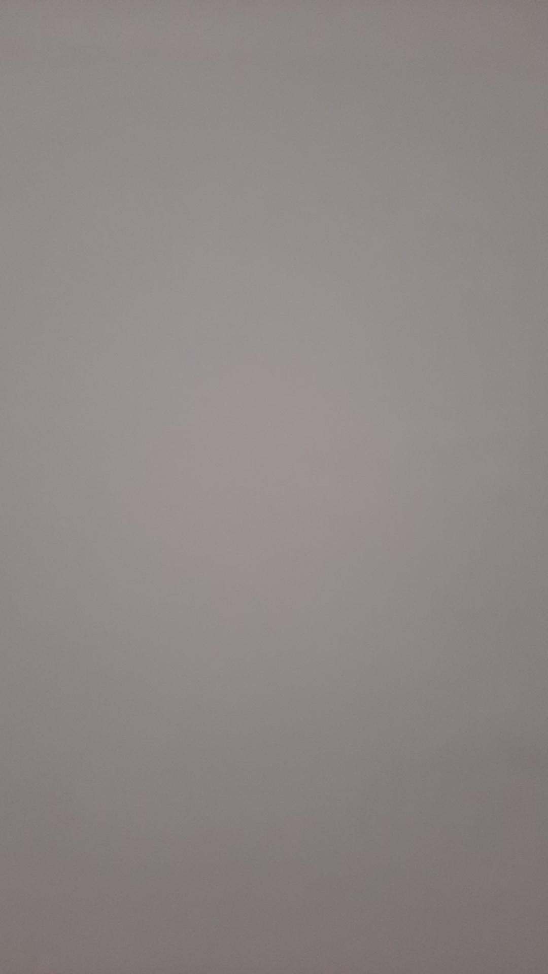 Paku Payung Kecil Paku Pines Paku Jaring Nyamuk Paku Karpet Paku Kecil