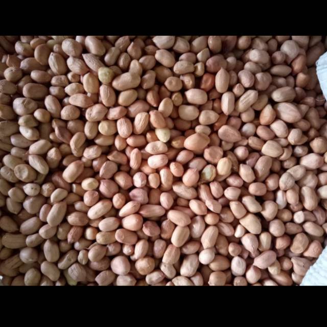 

DEB Kacang TANAH per 1 kg