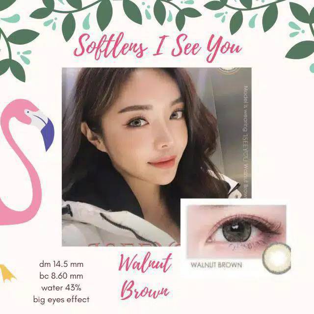 SOFTLENS MINUS DAN NORMAL OMEGA I SEE YOU WALNUT BROWN 14.5mm (0.00 sd -6.00) GRATIS TEMPAT SOFLEN