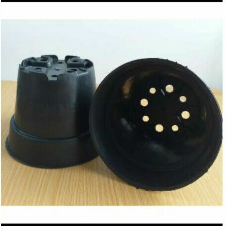 pot hitam 12cm termurah