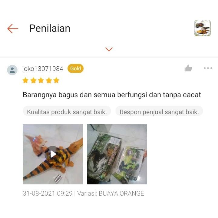 PROMO BBR1005 BRO1015 ZBBR1115 Buaya Crocodile / Iguana Hewan Binatang Baterai Mainan Anak Edukatif Animal