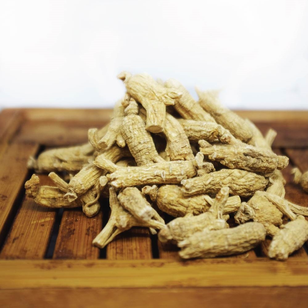 

Herbaleo American Ginseng 5g Yong Sem Membantu Meningkatkan Stamina & Daya Tahan Tubuh
