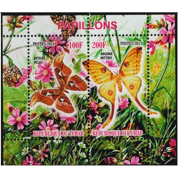 

Perangko Filateli 11176 Tchad MNH Miniature Sheet 2011 Butterflies