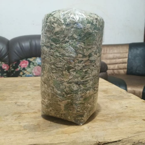 

Daun Bidara Kering Hijau