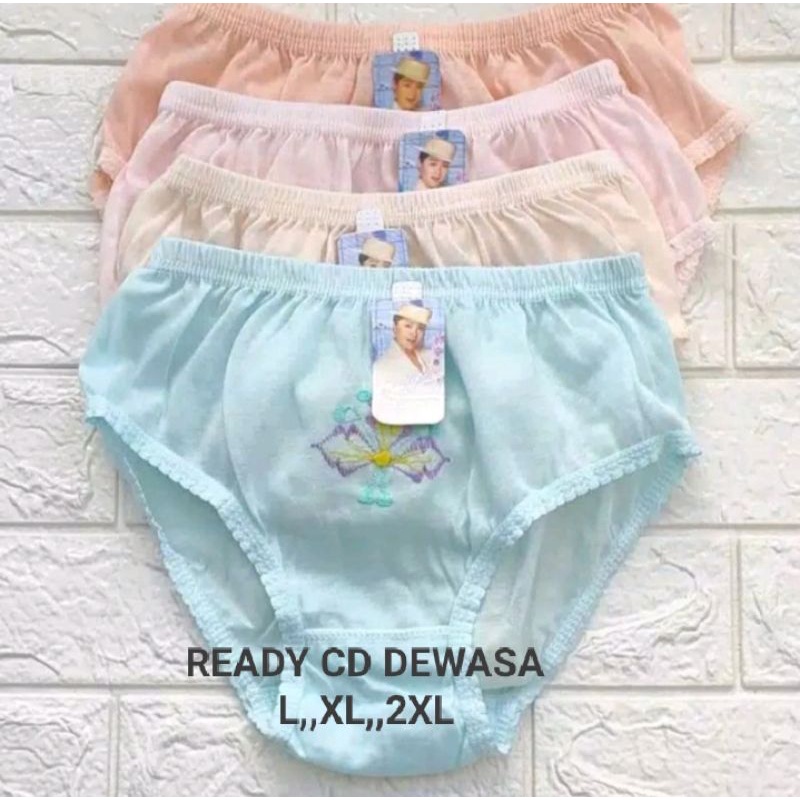 6PCS CD WANITA DEWASA BORDIR L XL 3L
