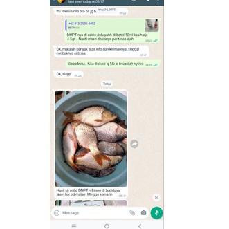 [PRODUK AHQ99] DMPT atau Vanili Jerman Original/ Attractant Semua Jenis Ikan/ DMPT Murni Bentuk Kris