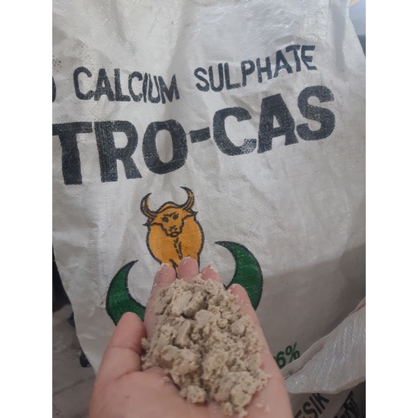 Kapur Pertanian Petrocas Dolomit Super Kemasan Repack 1KG Dolomite