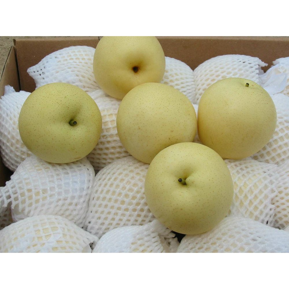 

Pir Madu / Pear Madu 1 kg