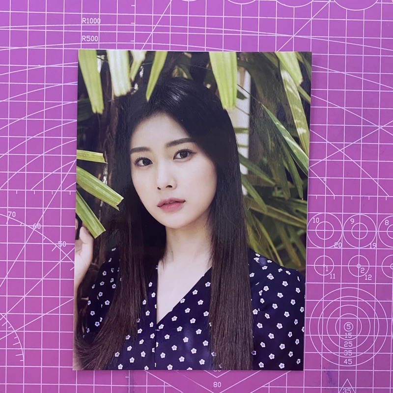 Postcard PC PP Hyewon Oneday One day Iz*one Izone Photocard