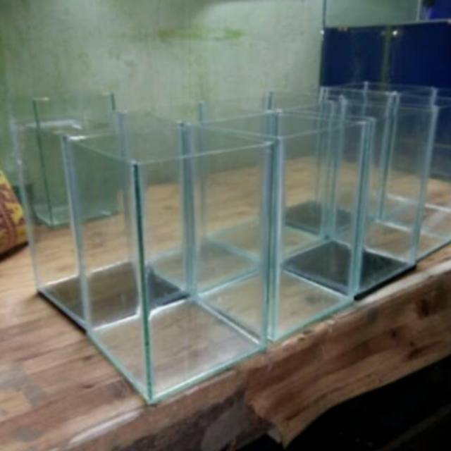 Akuarium Aquarium Mini Ikan Cupang Ikan Hias Shopee Indonesia