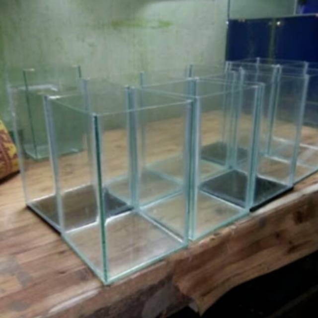 Akuarium Aquarium Mini Ikan Cupang Ikan Hias Shopee Indonesia