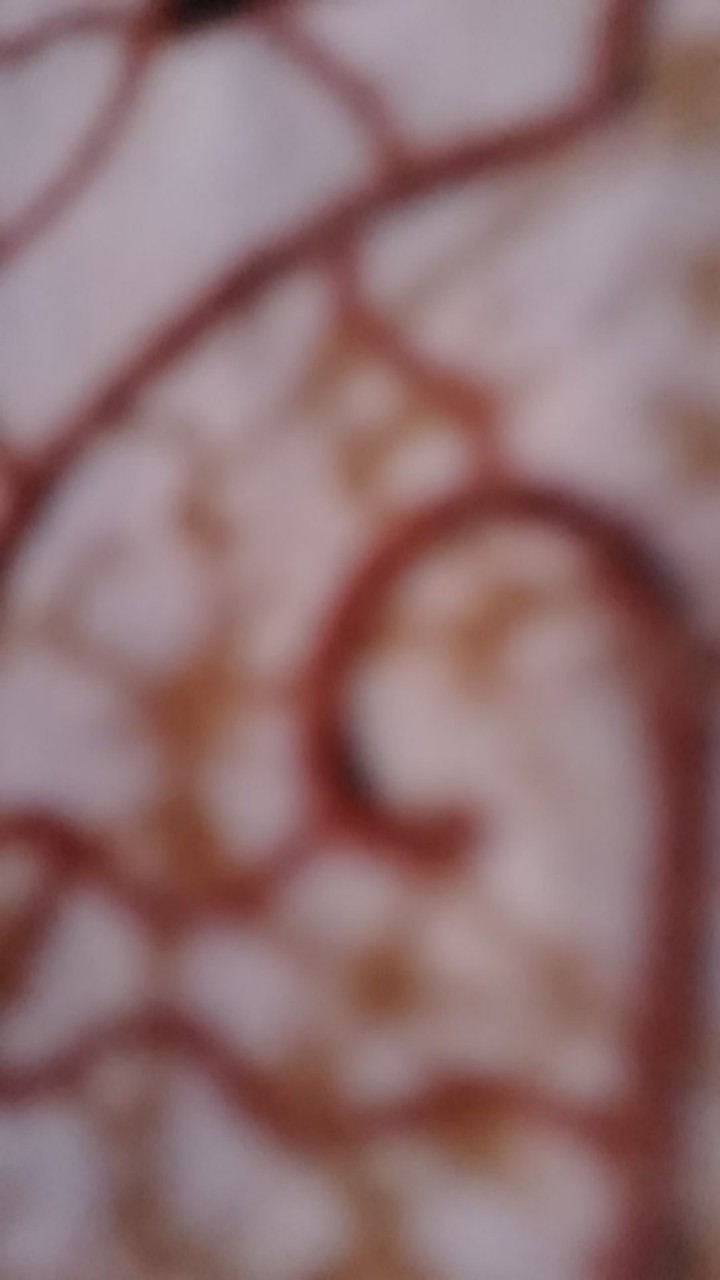 Ms Gamis Batik Sriwedari Maxi Bumil / Busui Katun Halus Allsize Termurah