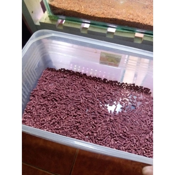 Pelet Channa auranti 20gram