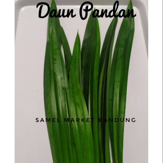 

Daun Pandan Segar 1 ikat