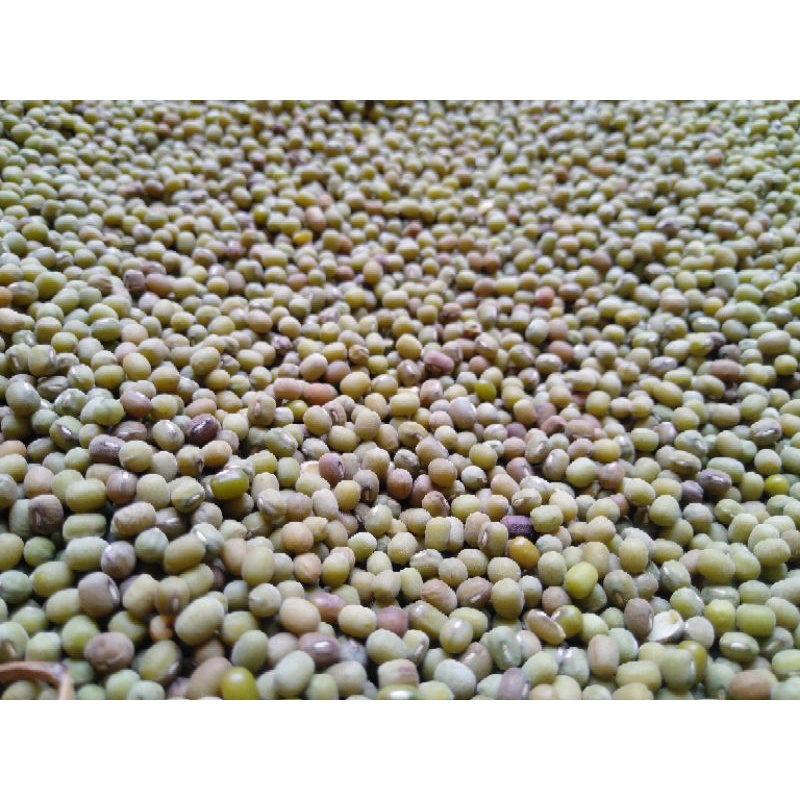 

Kacang Hijau 1kg