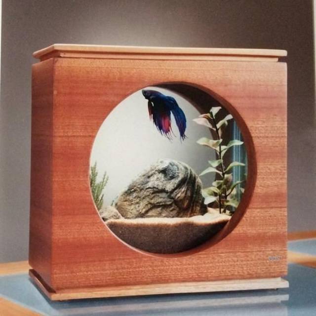 "HANA" Aquarium Soliter Ikan Cupang Ikan Hias Akrilik dan Jati Belanda (bisa custom) Craftbyoddie