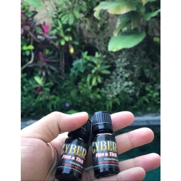 Obat Kutu Anjing Paling Ampuh CYBER FLEA &amp; TEAK / Cukup Teteskan Di Area Leher