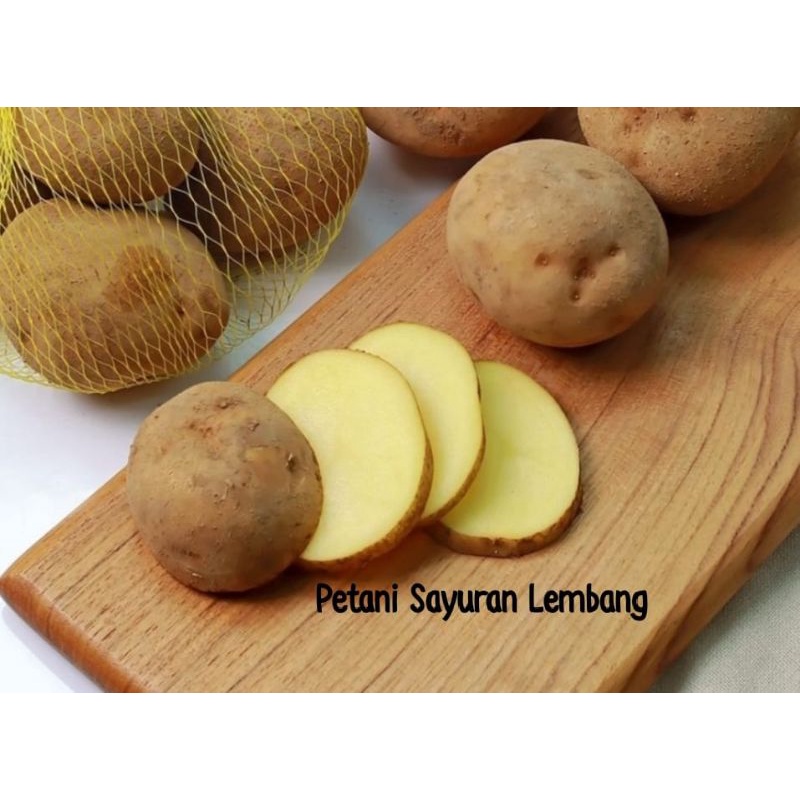 

Kentang Diengpremium 500g