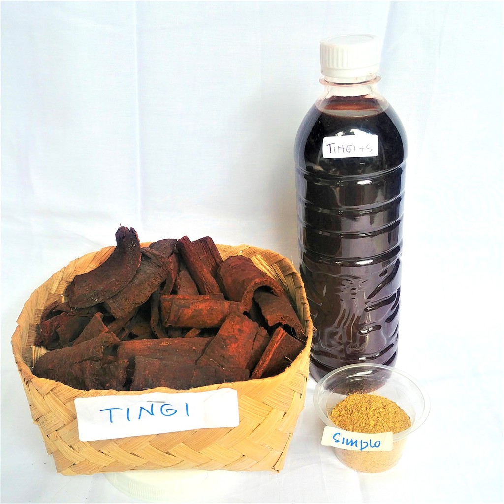 

Pewarna Cair Tingi + Simplokos Alami Batik Eco-print