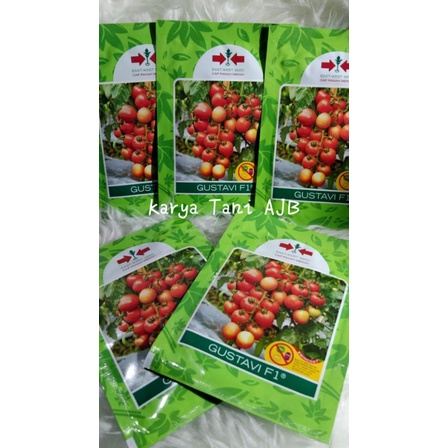 Bibit Benih Tomat GustaviF1 Panah merah